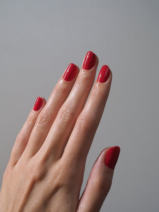 Mini Starter Set No 192, No 003 & Top + Base Coat 24ml