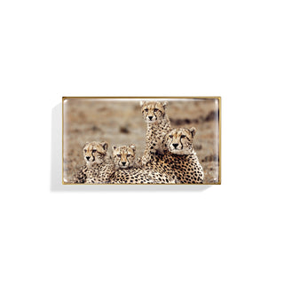 Cheetah Eye Trio 2ml