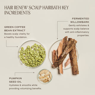Hair Renew Scalp Hairbath 295ml