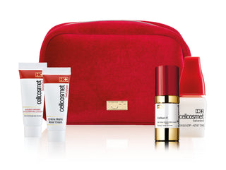 Cosmetics Pouch Free Gift