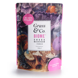 Biome Chaga Mushrooms Powder With Turmeric + Ginger 100g