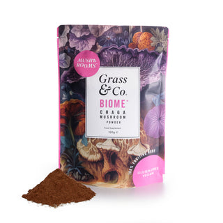 Biome Chaga Mushrooms Powder With Turmeric + Ginger 100g