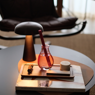 Boost - Reed Diffuser 800g