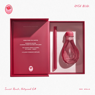 Boost - Reed Diffuser 800g