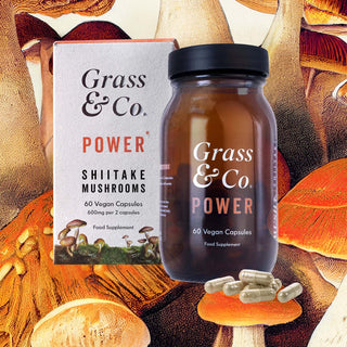 Power Shiitake Mushrooms With Holy Basil + Iron 60 Capsule