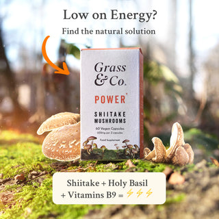 Power Shiitake Mushrooms With Holy Basil + Iron 60 Capsule