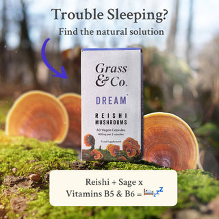 Dream Reishi Mushrooms With Magnesium + Sage 60 Capsule