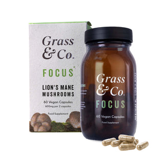 Focus Lion's Mane Mushrooms With Ginseng + Omega-3 60 Capsule
