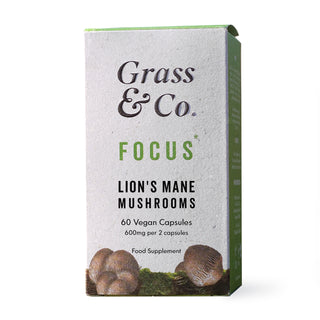 Focus Lion's Mane Mushrooms With Ginseng + Omega-3 60 Capsule