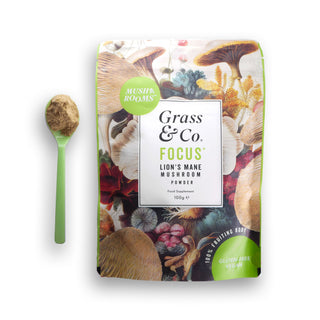 Focus Lion's Mane Mushrooms Powder With Ginseng + Omega-3 100g