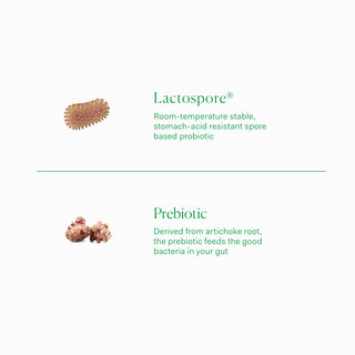 Prebiotic + Probiotic 60 capsules