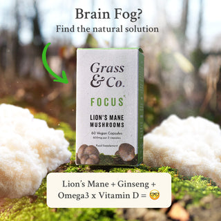 Focus Lion's Mane Mushrooms With Ginseng + Omega-3 60 Capsule