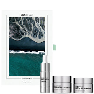 Pure Power Holiday Gift Set 2025 1 Set