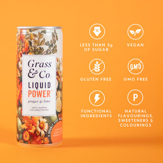 Liquid Power Ginger, Lime & Shiitake Nootropic Drink 250ml