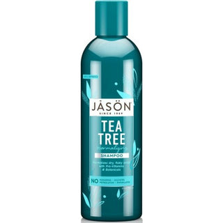 JASON Normalizing Tea Tree Treatment Shampoo 517ml