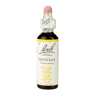 Gentian 20ml