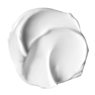 Ice Ceramide Moisturizing Cream 50g