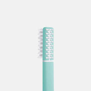 Turquoise Echinacea Toothbrush Soft Bristles With Calendar Base