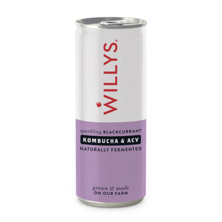WILLY'S Sparkling Blackcurrant, Kombucha & Apple Cider Vinegar Drinks 250ml