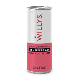 WILLY'S Sparkling Raspberry, Kombucha & Apple Cider Vinegar Drinks 250ml