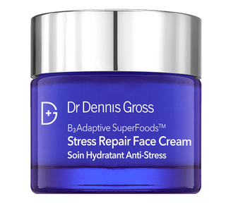DR DENNIS GROSS SKINCARE B3 Adaptive Superfoods Stress Repair Face Cream 60ml